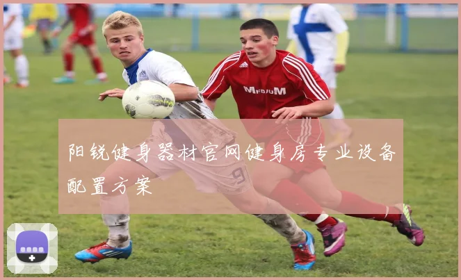 阳锐健身器材官网健身房专业设备配置方案